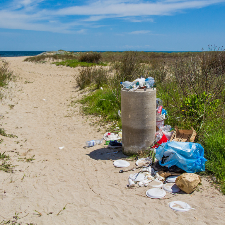Fuelre4m Unveils Styrex: The World’s First Revolutionary Solution to the Polystyrene Crisis, Paving the Way for UAE Leadership in Global Environmental Innovation
