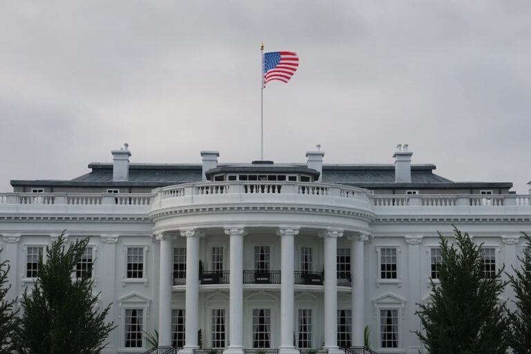 US targets China, EU, India in new trade probes - targets china