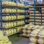 GMB union attacks government for ‘disgracefully ignoring’ UK’s gas-intensive manufacturers - union attacks