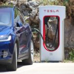 Tesla accelerates European comeback as EV sales surge past one-in-five milestone - tesla accelerates