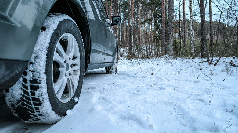 Five Winter Tires That Outperform Michelin In Price And Performance - five winter