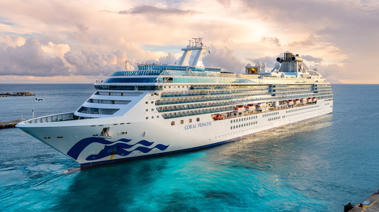 Here's How Many Diesel Engines Modern Cruise Ships Use - here's many