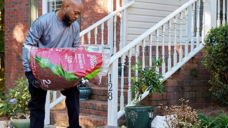 5 Of The Best Deals Happening At Lowe's This Spring - best deals
