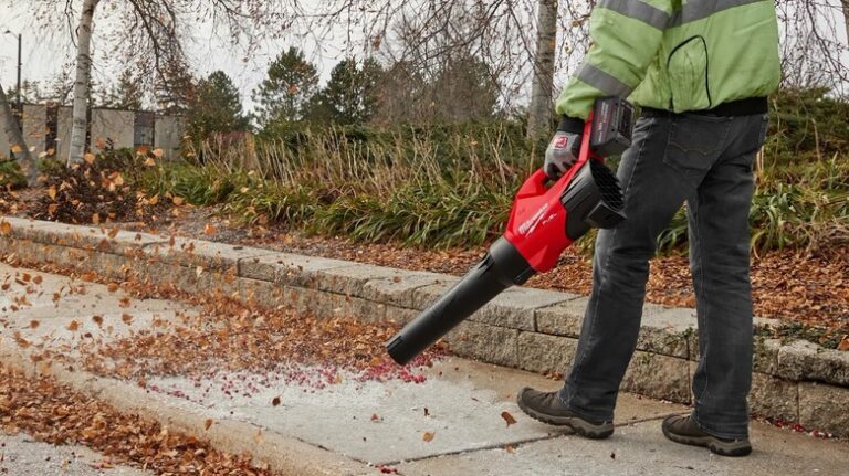 5 Cheaper Leaf Blowers That Outshine Milwaukee's In Value - cheaper leaf