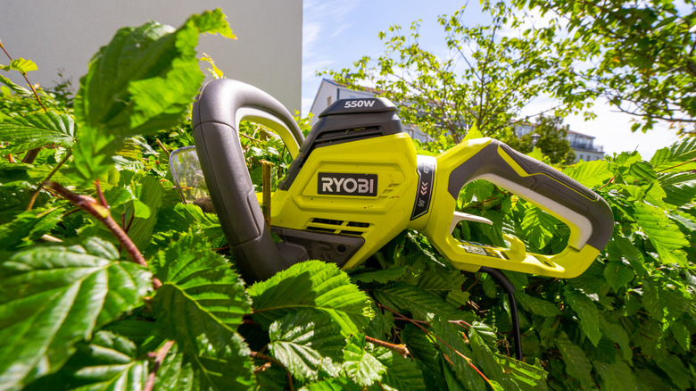 The Best Place To Buy Refurbished Ryobi Tools May Surprise You - best place