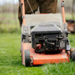 Experts Say This Is The Best Time Of Day To Cut Grass With Your Lawn Mower - experts best