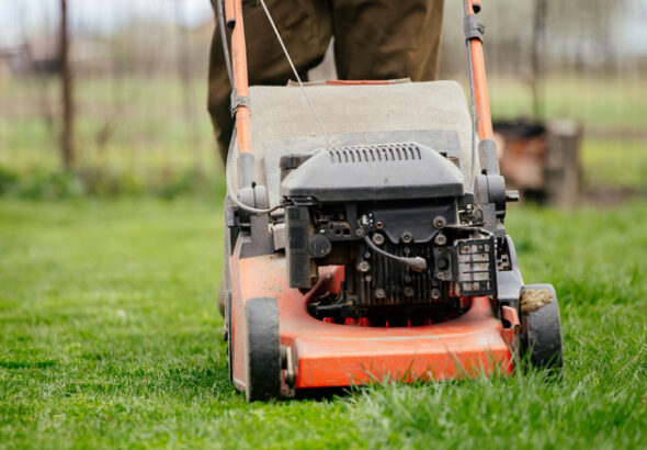 Experts Say This Is The Best Time Of Day To Cut Grass With Your Lawn Mower - experts best