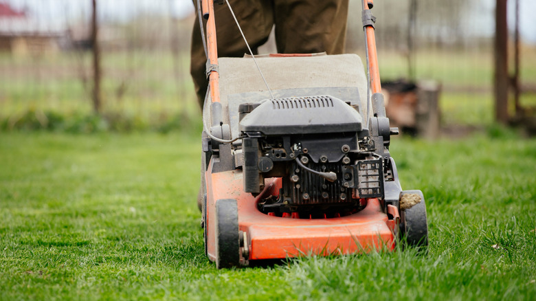 Experts Say This Is The Best Time Of Day To Cut Grass With Your Lawn Mower - experts best