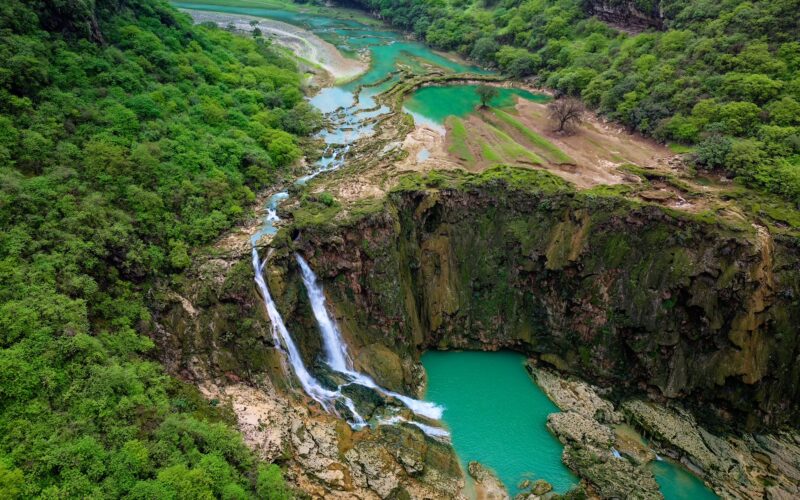 Under the Theme “A Cooler Summer”… Sultanate of Oman Launches “Dhofar Khareef 2026” with Renewed Events and Expe...