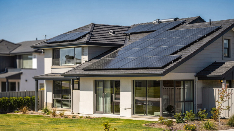 What's The Difference Between Bifacial And Monofacial Solar Panels? - what's difference