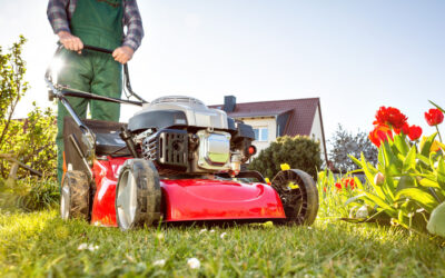 How Much Does It Cost To Replace A Mower Deck Vs. Buying A New Lawn Mower? - much cost