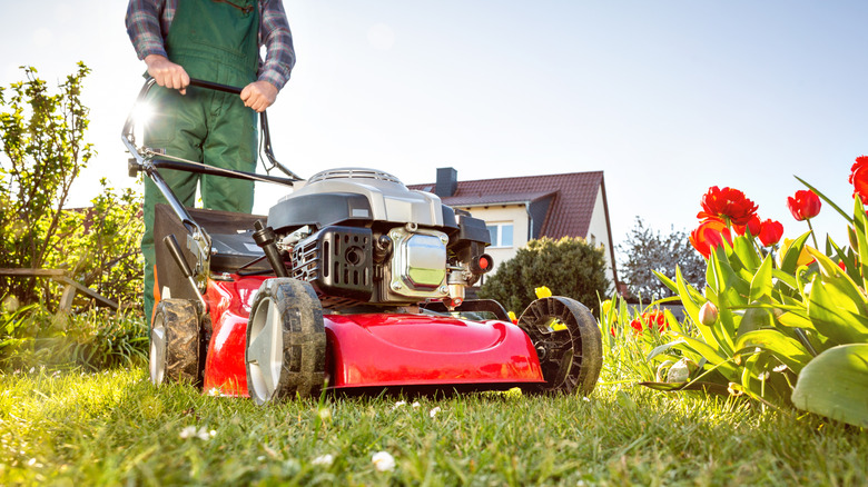 How Much Does It Cost To Replace A Mower Deck Vs. Buying A New Lawn Mower? - much cost