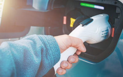 5 EV Brands That Still Offer 'Free' Charging In 2026 - brands still